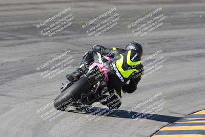 media/Feb-04-2024-SoCal Trackdays (Sun) [[91d6515b1d]]/4-Bowl Backside (11am)/